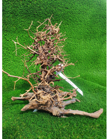 Natural wood bonsai  xl 40-50 aprox cm
