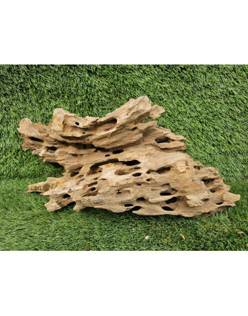 Tronco Dragon Wood 20-40 cm