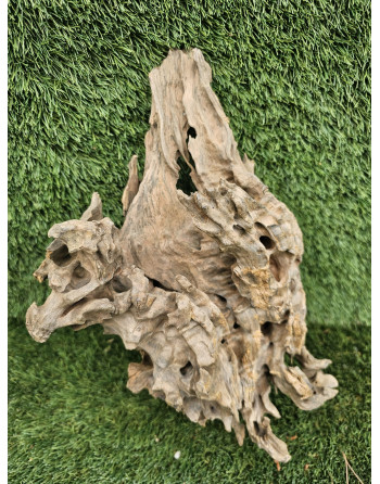 Dragon Wood 30-50 cm