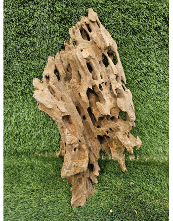 Tronco Dragon Wood 30.50 cm