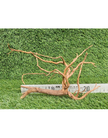 Raiz scaper root 20-25cm