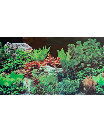 Fondo para acuario,plantas 30cm alt