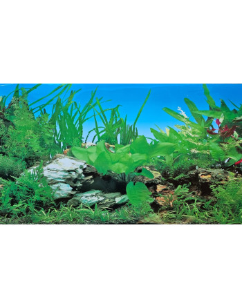 Fondo para acuario MOD amazonico altura 40 cm