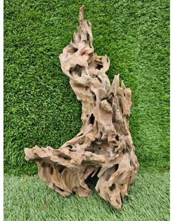 Tronco Dragon Wood 50-80 cm