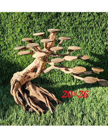 Natural wood bonsai  M 26x16aprox cm