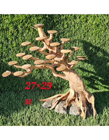 Natural wood bonsai  L 40x30aprox cm