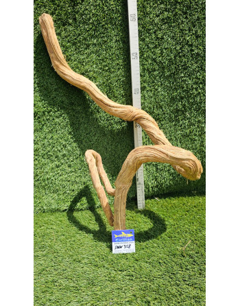 Troncos madera Santigi-L