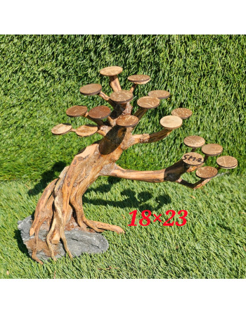 Bonsais madera natural SM 18 x23 aprox