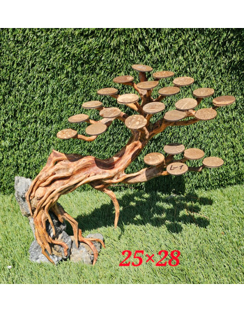 Bonsais acuario madera natural L  25 x 30 aprox