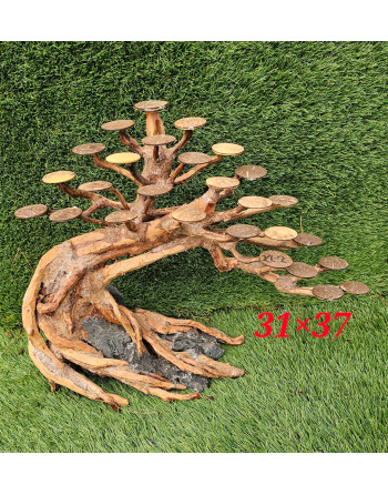 Natural wood bonsai  xl 40 a 70 aprox cm
