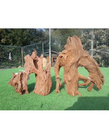 Oferta tronco manglar 20-30 cm 2 unidades