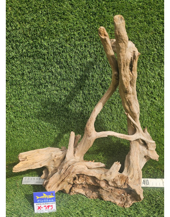 Tronco manglar de 50 a 60cm