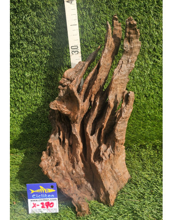 Tronco manglar o mopani de 35 a 40 cm