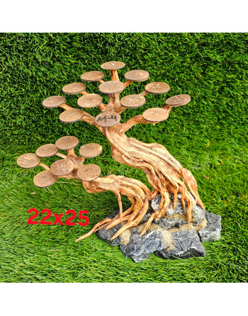 Bonsais madera natural M 22 x 24 aprox