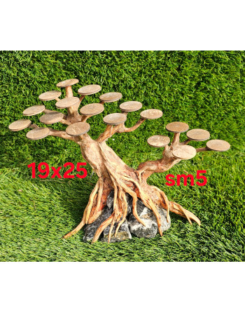 Bonsais madera natural SM 18 x23 aprox