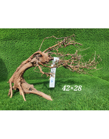 bonsai de madeira natural  L