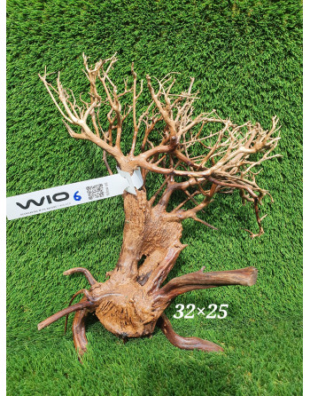 Natural bonsai wood ml