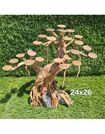 Bonsais madera natural M 22 x 24 aprox