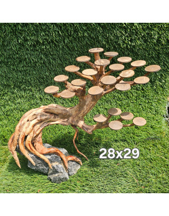 Bonsais acuario madera natural L  25 x 30 aprox