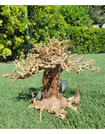 Natural bonsai wood central cup 23 x 12 x 15 cm