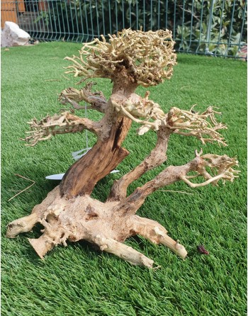 bonsai de madeira natural 24 x 16 x 20 cm