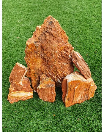 Roca Wooden Fossil 4 a 6 piezas 5kg