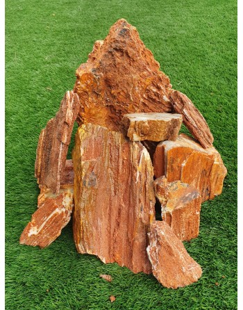 Wooden Fossil rock 6 to 10 pieces 10kg