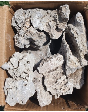 Roca seiryu-ryuoh caja de 10 kg 6 -9 piezas