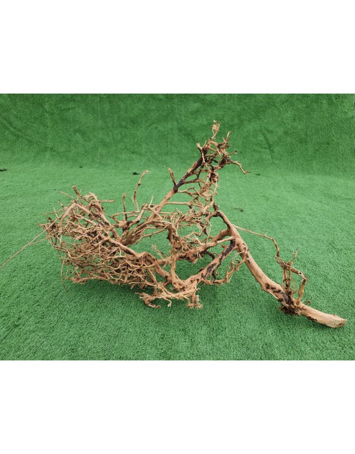Aquarium branches thailand tree 40 to 60 cm